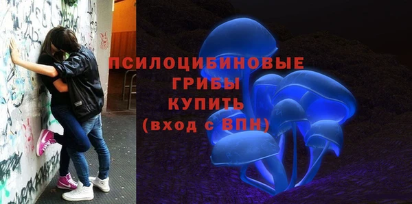 дурь Абинск