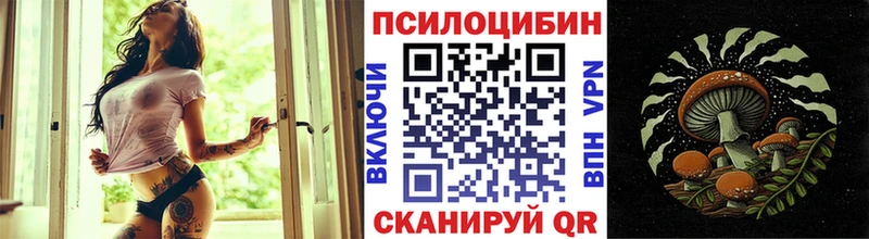 Галлюциногенные грибы мицелий купить Шарья